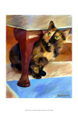 Buy Calico Face at AllPosters.com
