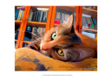 Kitty that Reads