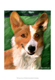 Corgie on the Lawn