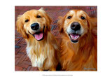 Ginger and Nutmeg