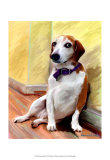 Being a Beagle