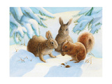 Rabbits and Squirrel in Snow