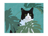 Black and White Cat with Green Eyes
