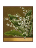 Victorian Floral