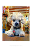 Mazel Dog