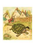 The Tortoise and The Hare