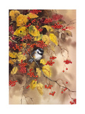 Bird on Branch