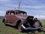 Buy Tree Growing Through a Rusted Out Antique Car at AllPosters.com