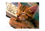 Kitten on Keys
