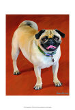 Doug the Pug
