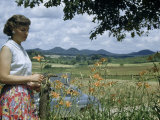 Buy Woman Inspects Roadside Day Lilies, Low Mountains Line Horizon at AllPosters.com