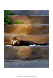 Trouble Cat