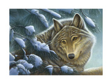 Buy Wolf in Snow at AllPosters.com