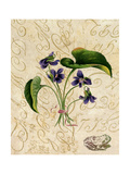 Vintage African Violets with Toad