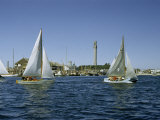 Buy Sailboats Racing Off Provincetown Pass Tall Pilgrim Monument at AllPosters.com