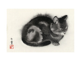 Buy Sleeping Gray Cat at AllPosters.com