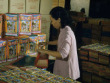 Buy Woman Packages Chinese Firecrackers in a Powder Factory at AllPosters.com