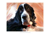 Springer