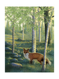 Fox in the Forest