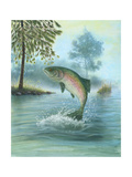 Rainbow Trout Jumping