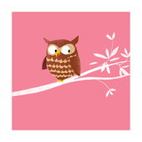 Owl on a Branch