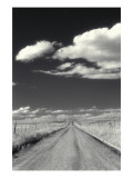 Countryside with Road Horizon