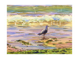 Seagull at Water's Edge