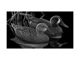 Two Ducks