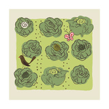 Buy Beautiful Heads of Lettuce at AllPosters.com