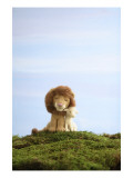 Lion and Lamb