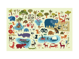 Zoo Animals