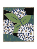 Abstract White Flowers