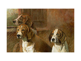 Hound Dogs