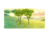 Field with Trees