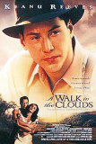Walk In The Clouds