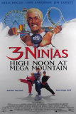 3 Ninjas