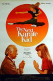 The Next Karate Kid