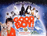 Good Boy!