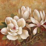 Sweet Magnolia II