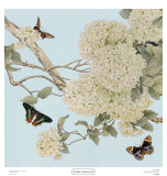 Buy Endless Summer II at AllPosters.com