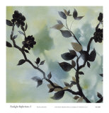 Buy Twilight Reflections I at AllPosters.com