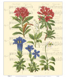 Buy Allegro I at AllPosters.com