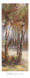 Buy River Birch I at AllPosters.com