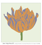 Soho Tulip Petite III