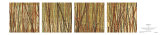 Buy Matrix at AllPosters.com