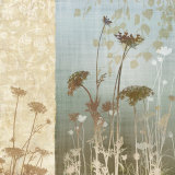 Delicate Fields I