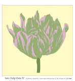 Soho Tulip Petite IV