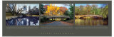 Central Park Bridges