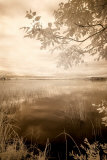 Peaceful Morning II