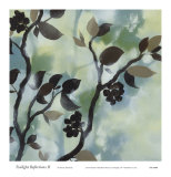 Buy Twilight Reflections II at AllPosters.com